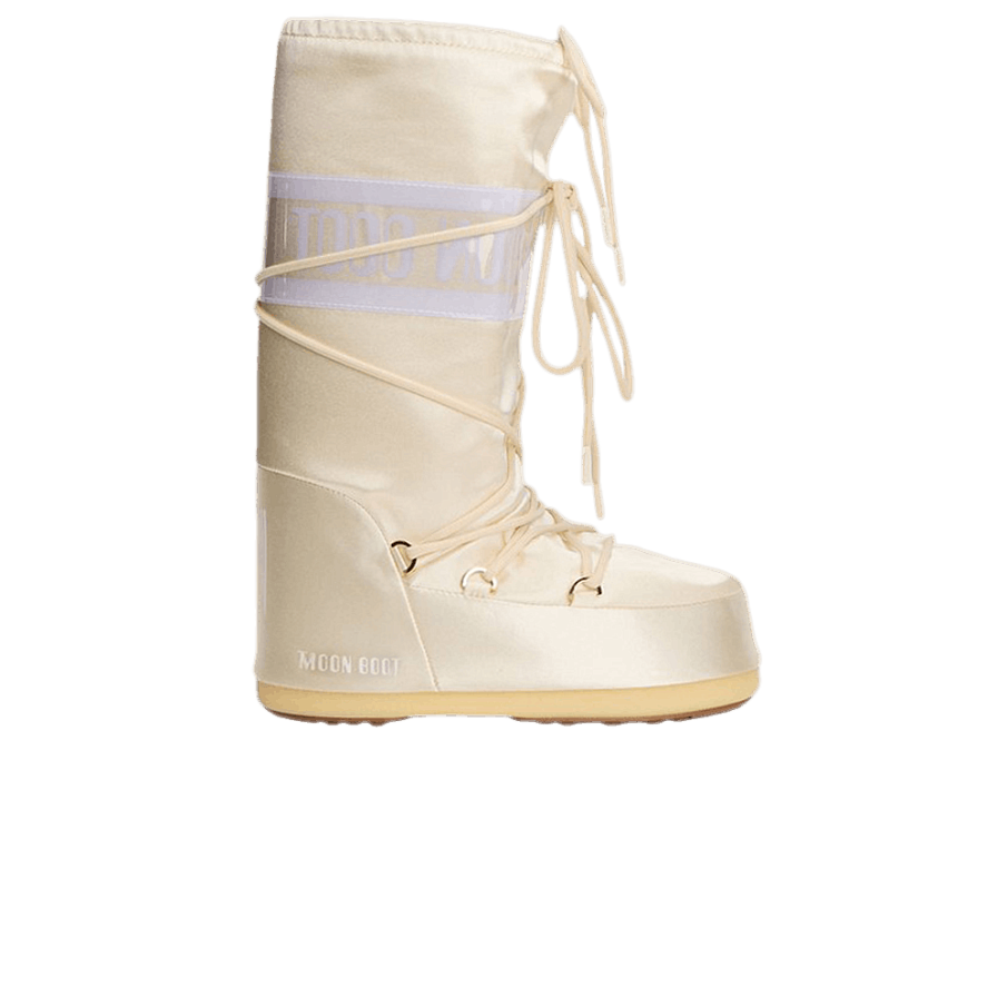 Фото № 1 с приближением к товару «‎Moon Boot Icon Boot Shine Cream»