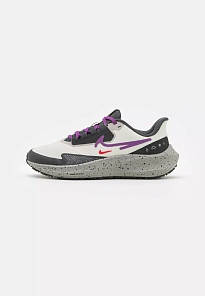 Фото № 1 с приближением к товару «‎W PEGASUS 39 SHIELD»