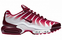 Фото № 2 с приближением к товару «‎Nike Air Max Plus 'After the Bite'»