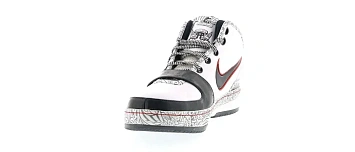 Nike LeBron 6 United We Rise - 2