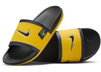 Nike Offcourt Slide (FN2701-700)