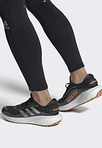 Фото № 1 с приближением к товару «‎SUPERNOVA GTX M»