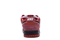 Фото № 4 с приближением к товару «‎Nike SB Dunk Low Concepts Red Lobster»