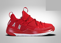 Фото № 1 с приближением к товару «‎Nike Air Jordan Trainer Pro »