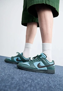 Фото № 1 с приближением к товару «‎DUNK RETRO SE»