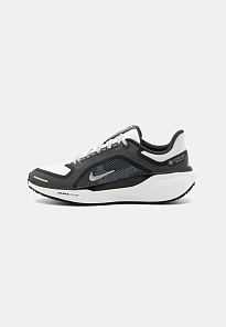 Фото № 1 с приближением к товару «‎AIR PEGASUS 41 GTX»
