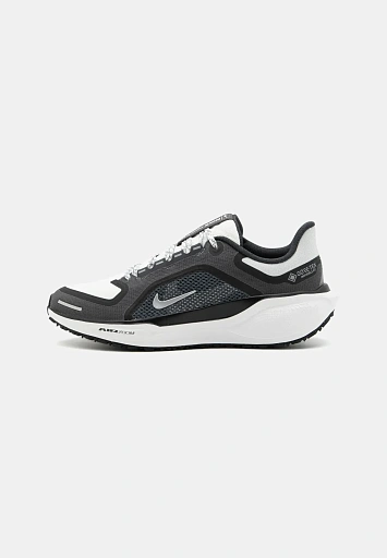 AIR PEGASUS 41 GTX (SPN1241A1BK-Q12) - 1