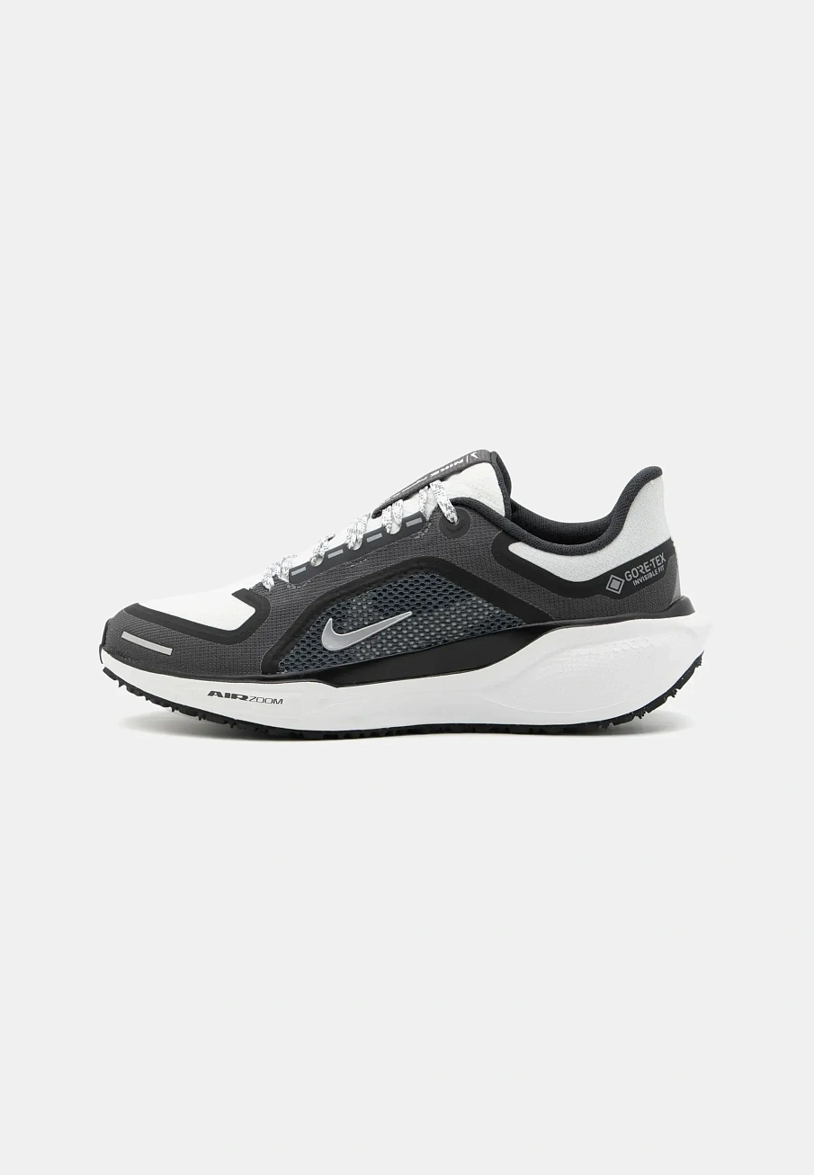 Фото № 1 с приближением к товару «‎AIR PEGASUS 41 GTX»