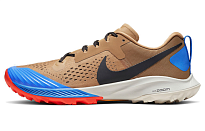 Фото № 1 с приближением к товару «‎Nike Air Zoom Terra Kiger 5 'Beechtree'»