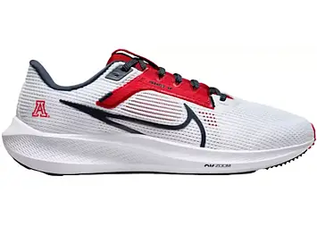 Nike Pegasus 40 (DZ5945-100)