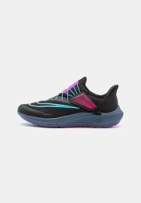 Фото № 1 с приближением к товару «‎AIR PEGASUS FLYEASE  »
