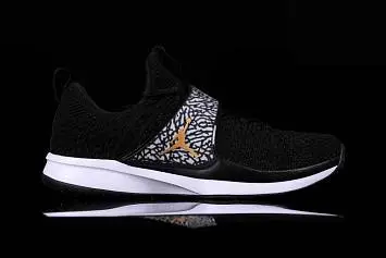 Nike Air Jordan Trainer 2 Flyknit  - 2