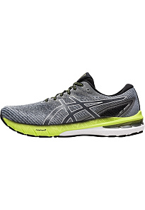 Фото № 1 с приближением к товару «‎Asics Gt-2000 10»