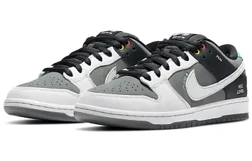 Nike Sb Dunk Low Pro Iso Skate Shoes Vx1000 Camcorder - 5