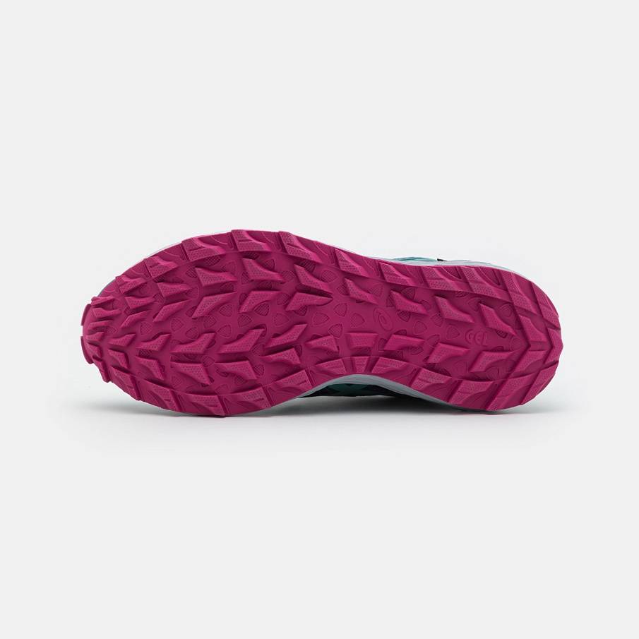 Фото № 5 с приближением к товару «‎Asics Gel Sonoma 6 Gtx»