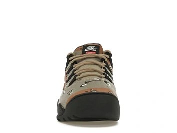 Nike SB Darwin Low (FQ3000-200) - 2