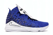 Фото № 1 с приближением к товару «‎Nike LeBron 17 More Than An Athlete»