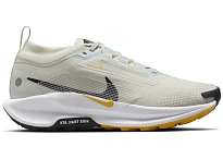 Фото № 1 с приближением к товару «‎Nike Pegasus Trail 5 Gore-Tex»