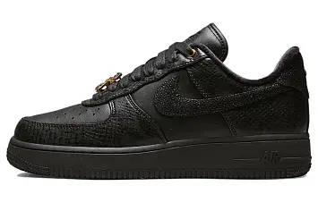 Nike Air Force 1 Low Skate shoes (DX6035-001) - 1
