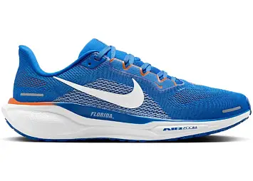 Nike Air Zoom Pegasus 41 (FZ5113-400)