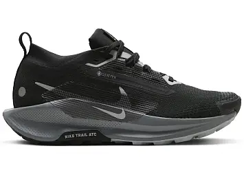 Nike React Pegasus Trail 5 Gore-Tex (FQ0912-001)
