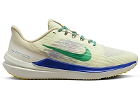 Фото № 1 с приближением к товару «‎Nike Winflo 9 Premium Nike Moving Company»