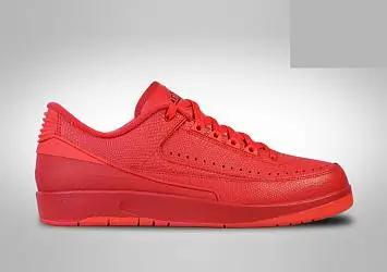 Nike Air Jordan 2 Retro Gym  - 2