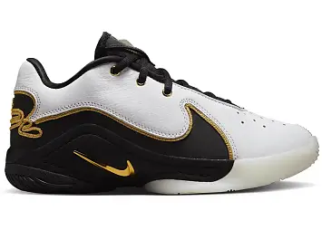 Nike LeBron 22 (HV8616-100)