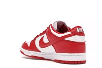Фото № 2 с приближением к товару «‎Nike Dunk Low University Red (2020)»