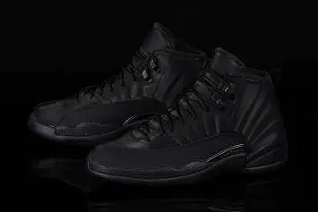 Nike Air Jordan 12 Retro Winterized  - 3
