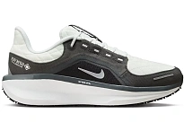 Фото № 1 с приближением к товару «‎Nike Winflo 11 Gore-Tex»
