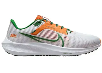 Nike Pegasus 40 (DZ5941-100)