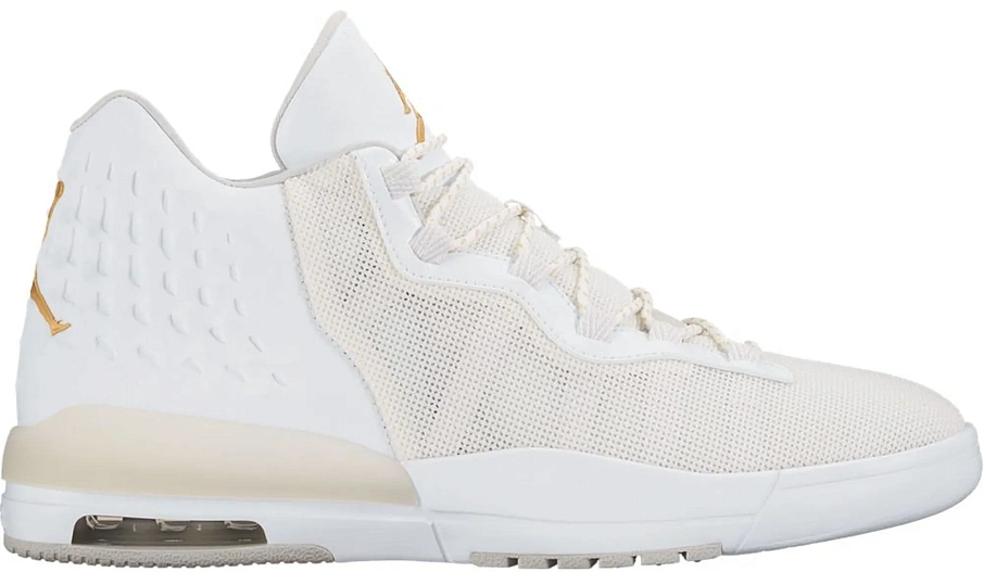 Фото № 1 с приближением к товару «‎Jordan Academy White Metallic Gold Coin»