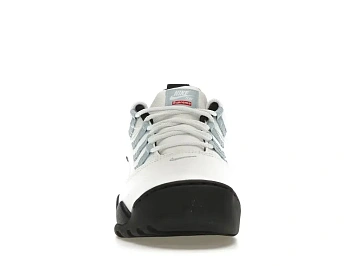 Nike SB Darwin Low (FQ3000-100) - 2