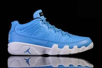 Nike Air Jordan 9 Retro Pantone  - 3