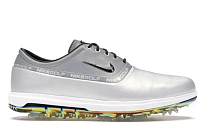 Фото № 1 с приближением к товару «‎Nike Air Zoom Victory Tour Metallic Platinum»