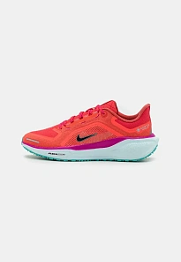Фото № 1 с приближением к товару «‎AIR ZOOM PEGASUS 41 GTX »