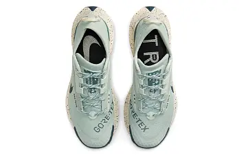 Nike Wmns Pegasus Trail 3 GTX Low-Top Running Shoes BlueGreen - 5