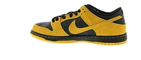 Фото № 3 с приближением к товару «‎Nike SB Dunk Low Iowa»