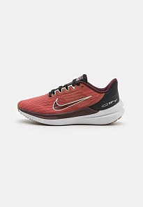 Фото № 1 с приближением к товару «‎WMNS AIR WINFLO 9»