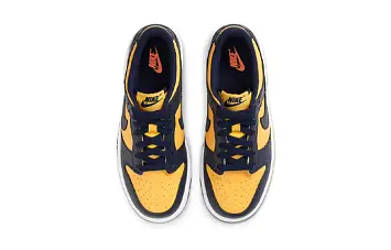 Nike Dunk Low Michigan - 6