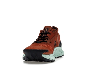 Nike Pegasus Trail 3 Gore-Tex Rugged Orange - 2