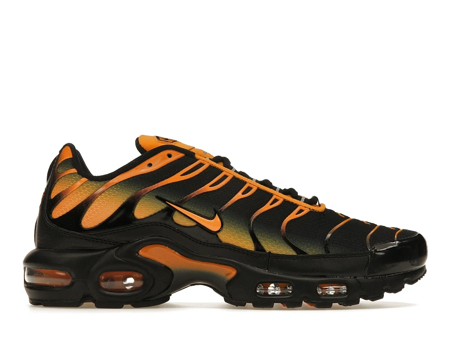 Фото № 1 с приближением к товару «‎Nike Air Max Plus Black Sundial»