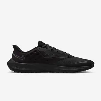 Nike Air Zoom Pegasus 39 Shield - 2