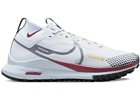 Фото № 1 с приближением к товару «‎Nike React Pegasus Trail 4 Gore-Tex»