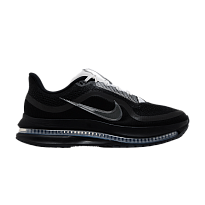 Фото № 1 с приближением к товару «‎Nike Pegasus Premium SP Black Metallic Silver»