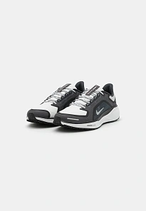 Фото № 2 с приближением к товару «‎AIR ZOOM PEGASUS 41 GTX»