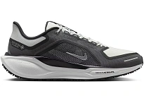 Фото № 1 с приближением к товару «‎Nike Air Zoom Pegasus 41 Gore-Tex»