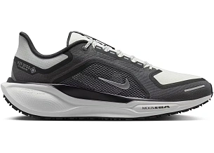 Nike Air Zoom Pegasus 41 Gore-Tex
