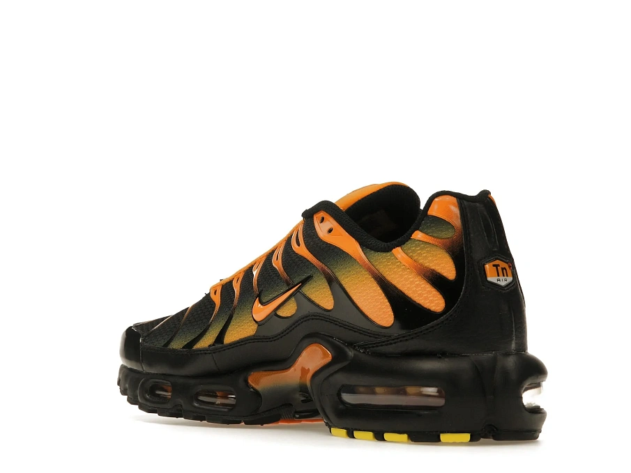 Фото № 6 с приближением к товару «‎Nike Air Max Plus Black Sundial»